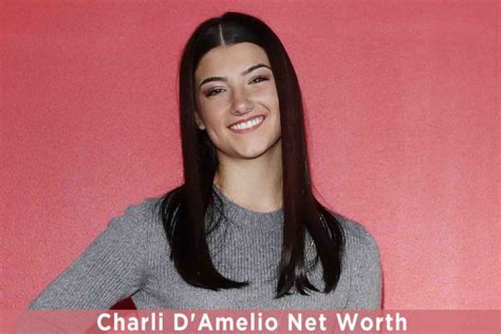 Charli D Amelio Net Worth celebzbiography.com