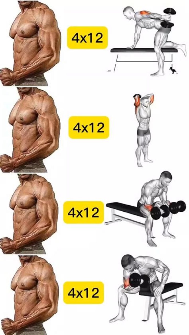 Matthew Lewis Workout Routine
