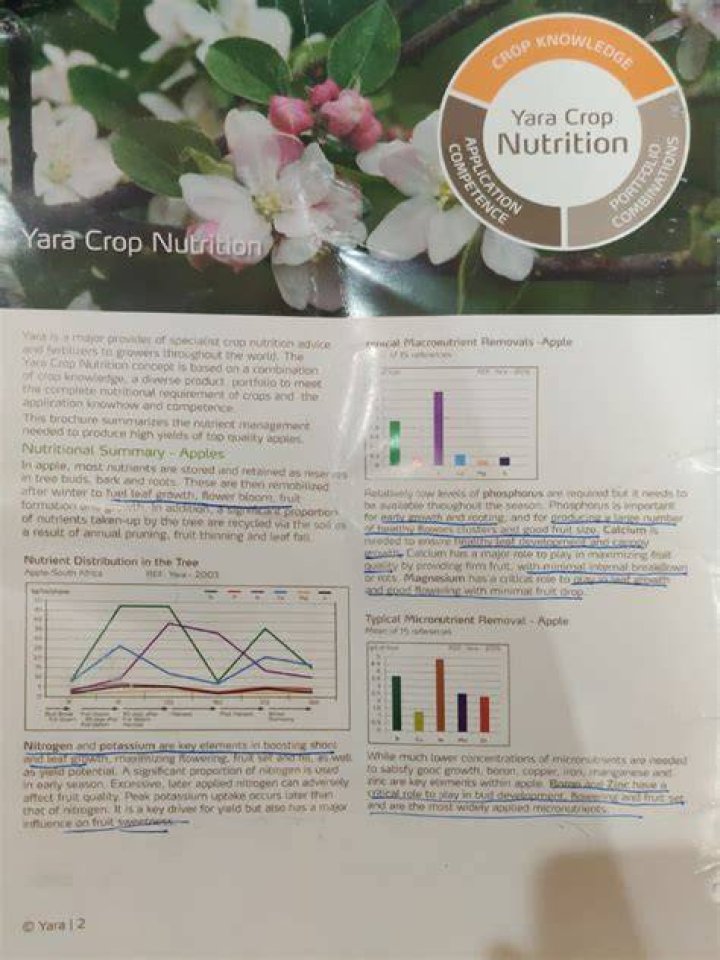 Yara Martinez Diet Plan